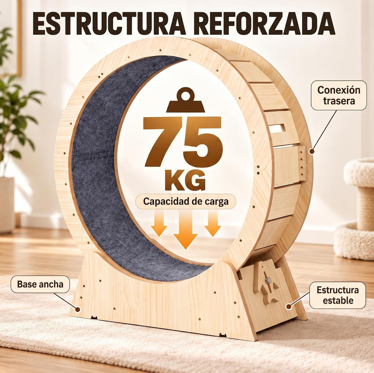 Rueda Ejercicio Gatuno