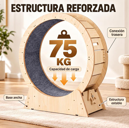 Rueda Ejercicio Gatuno