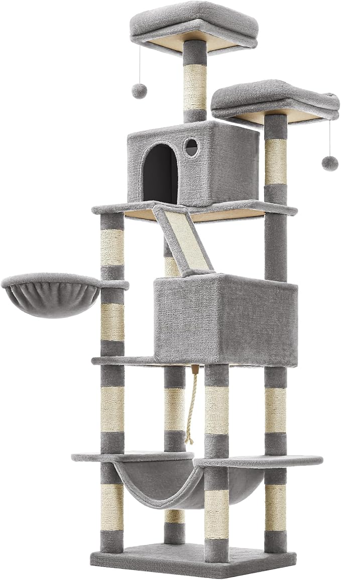 arbol gatos