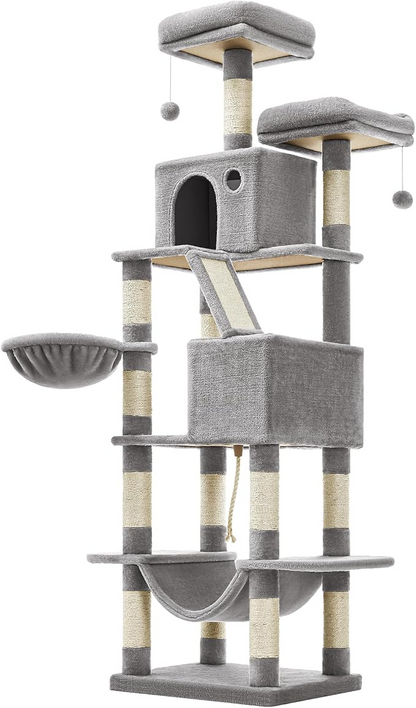 arbol gatos
