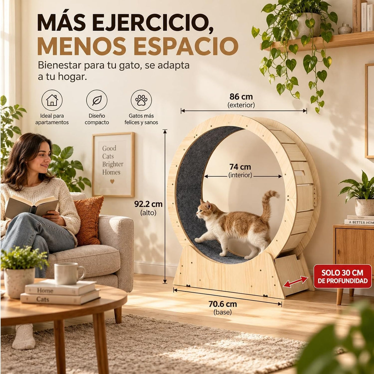 RUEDA GATO